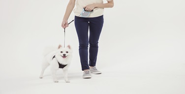 Ȱ���̹���